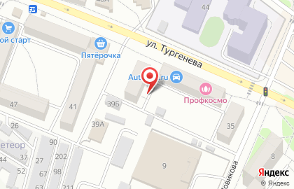 Елена на улице Тургенева на карте
