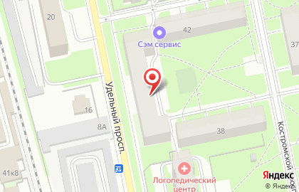Петербургская Поверочная Компания на Удельном проспекте на карте