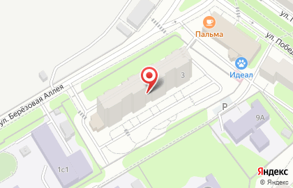СЁМА на Берёзовой аллее на карте
