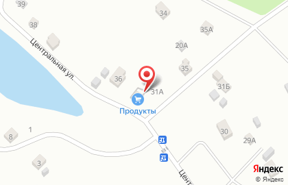 Продуктовый магазин на Центральной улице на карте