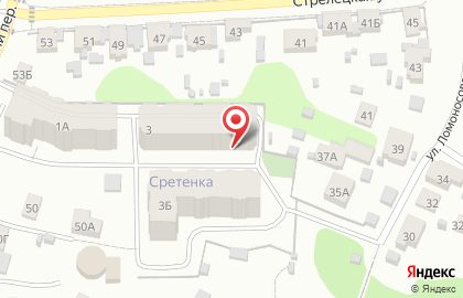 Компания Мегаполис в Стрелецком переулке на карте