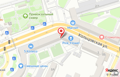Мир Цветов на Кольцовской улице на карте