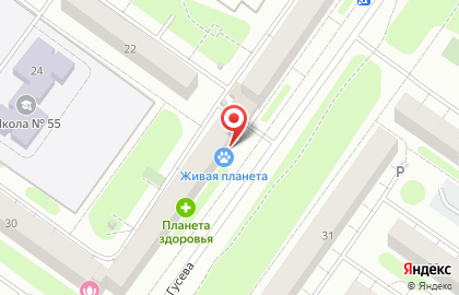 Магазин зоотоваров и ветеринарных аптек Живая планета на бульваре Гусева на карте