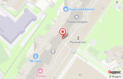 Медицинская лаборатория LabQuest на Комендантском проспекте, 51 к 1 на карте