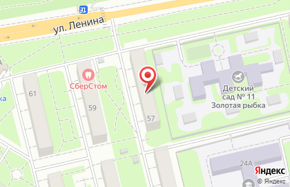Незабудка на улице Ленина на карте