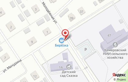 Берёзка в Кемерово на карте
