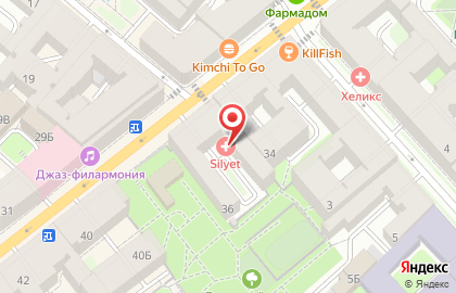 Транспортно-экспедиторская компания Деловые Линии на Загородном проспекте на карте