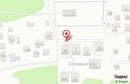 Сосновый бор, ООО Базис на Журавлиной улице на карте