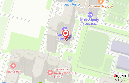 Insight Studio на Туристской улице на карте