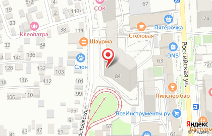 Центр развития ребёнка VIP-Продленка Достоевский на карте