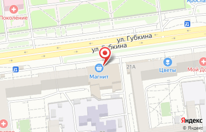Зоомагазин Пушистик на улице Губкина на карте
