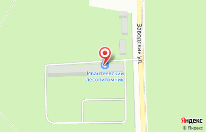 Ивантеевский лесопитомник на карте