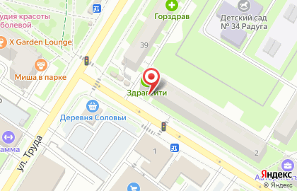 Зоомагазин Мой питомец в Пскове на карте