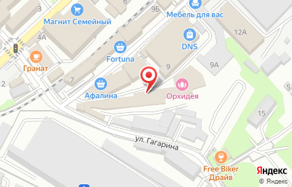 Аудиторская компания на улице Гагарина на карте