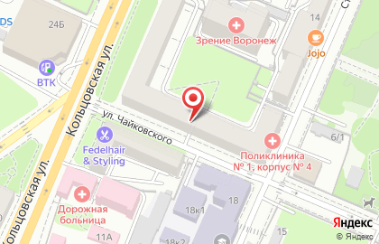 Воронежская городская клиническая поликлиника №1 на улице Чайковского на карте