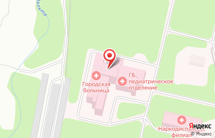 Амбулаторный пункт гемодиализа B.Braun на улице Пушкина на карте