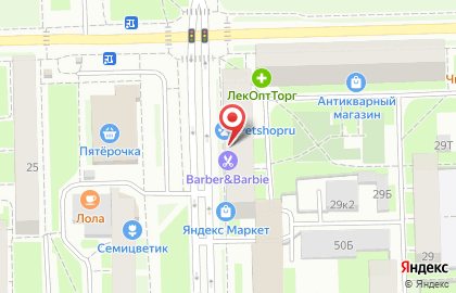 Зоомагазин PetShop.ru на Варшавской улице на карте