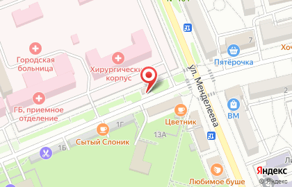 Салон цветов на улице Менделеева на карте