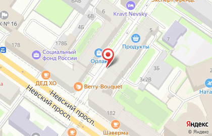 ОРЛАН на площади Александра Невского I на карте