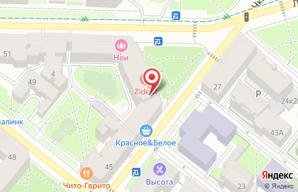 Рыбалка на Чкаловском проспекте на карте