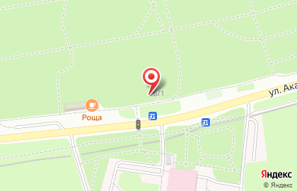 Цветы в Красноярске на карте