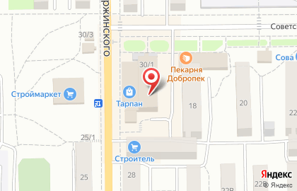 Магазин ювелирных изделий Золотая Мозаика на улице Дзержинского на карте