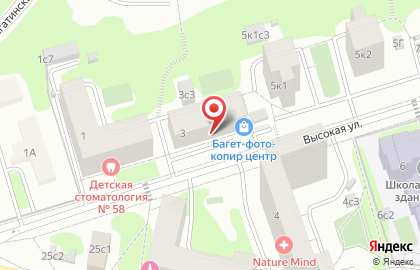 Лемур сам на карте