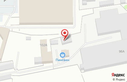 Пингвин в Кирове на карте