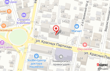 Компания Vincent на улице Красных Партизан на карте