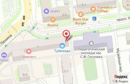 Магазин одежды и сувениров Нужные вещи на проспекте Ленина на карте