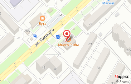 Shop & Go на улице Урицкого на карте