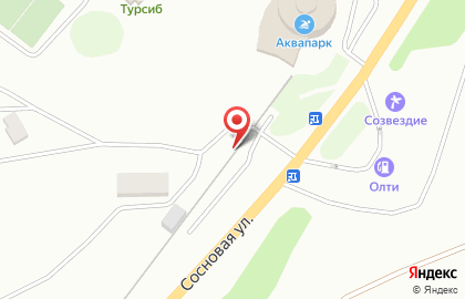 База отдыха Турсиб на Сосновой улице на карте
