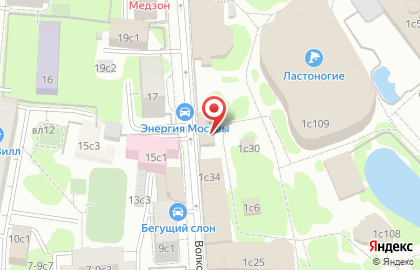 Зообуфет на Большой Грузинской улице на карте