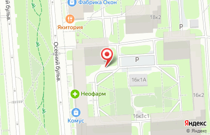 Арте Беллица на карте