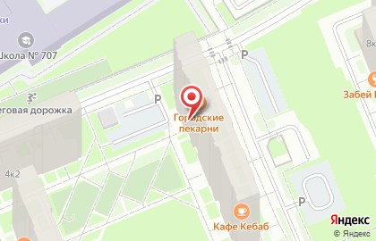 Пункт проката детских товаров АистЛандия в Санкт-Петербурге на карте