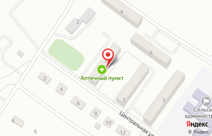 Аптечный пункт на Центральной улице на карте