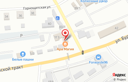 Магазин Дерево покраска на карте