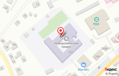 Новоусманский лицей на карте