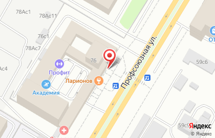 Государственный музейно-выставочный центр Росизо на Профсоюзной улице на карте