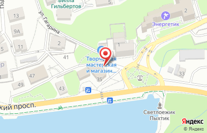 Центр социальной поддержки населения, г. Светлогорск на карте