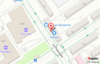 Цветочная лавка Азалия на улице Радищева на карте
