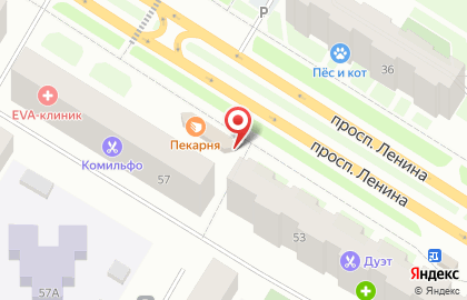 Магазин Сыктывкарпиво на проспекте Ленина на карте