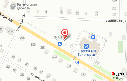 Цветочный магазин Орхидея в Благовещенске на карте