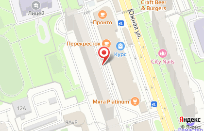 Россия, Московская область, Реутов, Южная улица, 10А на карте