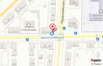 Цветочный салон Цветы от Венеры на Первомайской улице на карте