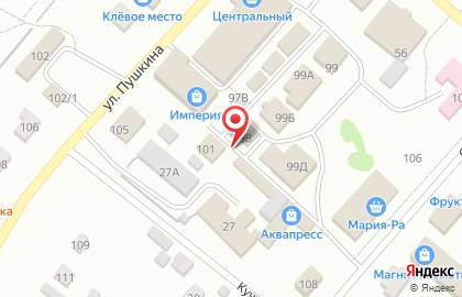 Магазин цифровой и бытовой техники DNS на улице Пушкина на карте