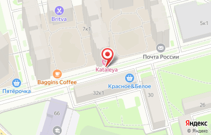 Невская Местная Организация Санкт-Петербургской Городской Организации "Всероссийское Общество Инвалидов" на карте