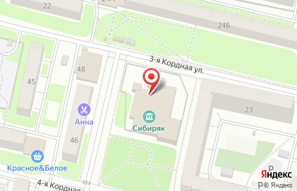 Детский ансамбль танца Забава на 1-ой Шинной улице на карте