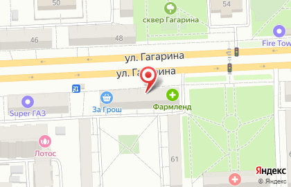Туристическое агентство TUI на улице Гагарина на карте