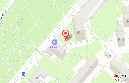 Кудряшка на карте